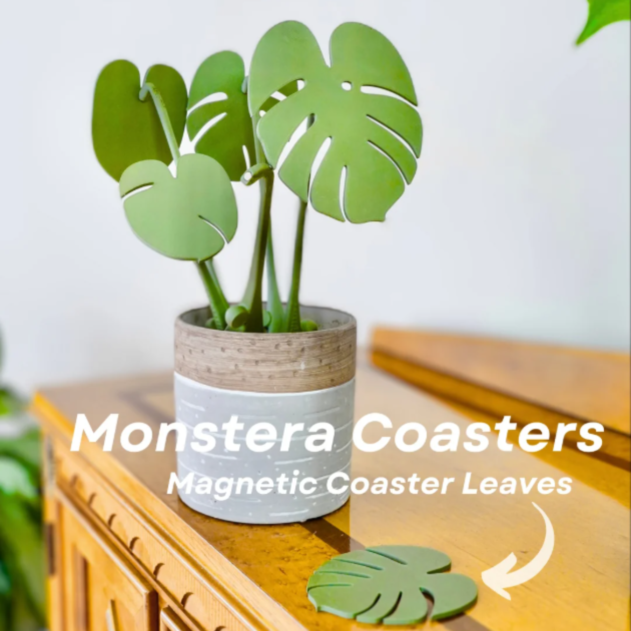 3D Printed Monstera Coaster Set